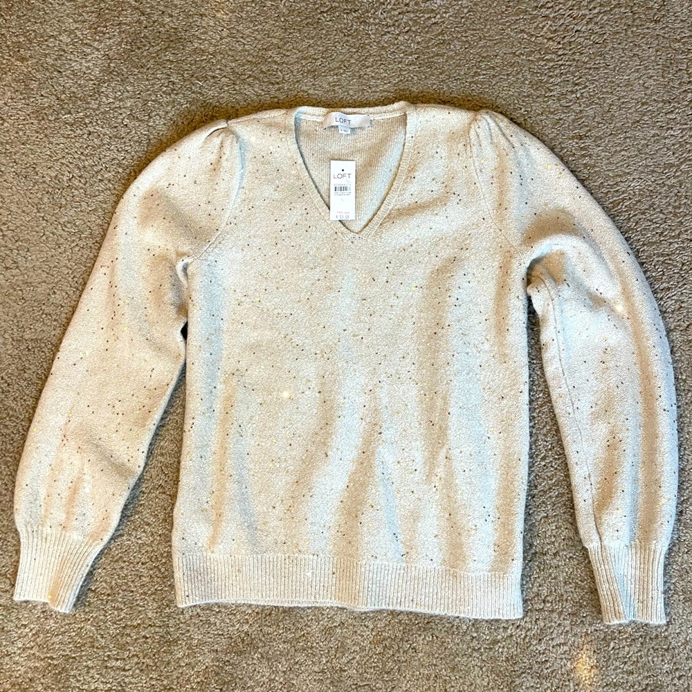 Loft Sparkle V-Neck Sweater